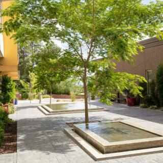 A serene urban courtyard with trees and water features.