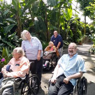 A group of elderly individuals in wheelchairs enjoying a day out in an indoor garden.