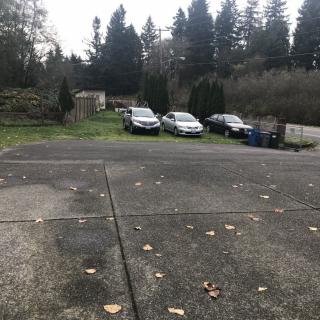 A driveway with parked cars surrounded by trees on an overcast day.