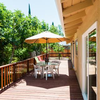 A sunny outdoor patio with a table, chairs, and an umbrella surrounded by lush greenery.