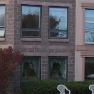 A brick building with multiple windows and two white chairs outside.