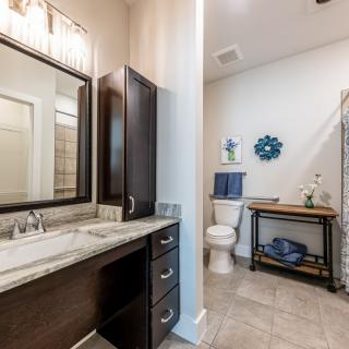 A modern bathroom with a sleek design, featuring a sink with a large mirror, dark cabinets, and decorative elements.