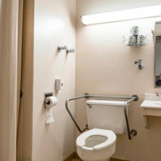 An accessible bathroom with a toilet featuring handrails, a sink, and a mirror.
