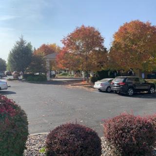 A parking lot surrounded by vibrant autumn trees with cars parked under the clear blue sky.