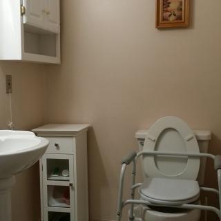 A bathroom featuring a toilet with an assistive frame and a pedestal sink.