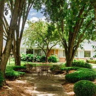 A serene garden pathway surrounded by lush trees and shrubs.