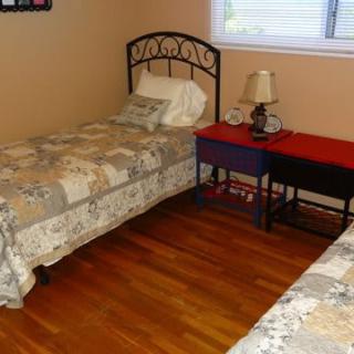 A cozy bedroom with two twin beds, a nightstand, and a lamp next to a window.