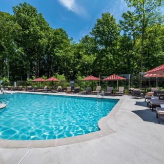 A serene outdoor swimming pool surrounded by trees and equipped with lounge chairs and umbrellas on a sunny day.