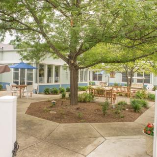 A peaceful courtyard with a central tree and outdoor seating areas.