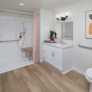 Modern accessible bathroom with a shower, grab bars, and wooden flooring.