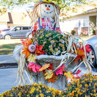 A cheerful scarecrow surrounded by colorful autumn flowers, adding a festive touch to the garden.