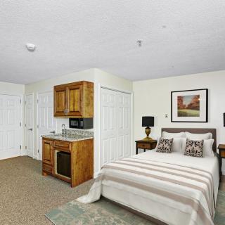 A cozy bedroom with a compact kitchen area and tasteful decor.