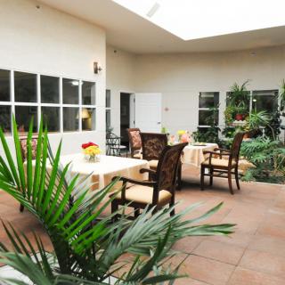 A cozy indoor courtyard with comfortable seating and lush plants, illuminated by natural light through large windows.