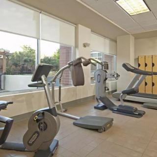 A well-equipped gym with various exercise machines including treadmills and stationary bikes.