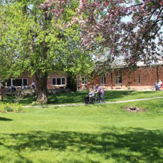 A picturesque view of a sunny day in a park-like setting, with people enjoying the greenery.