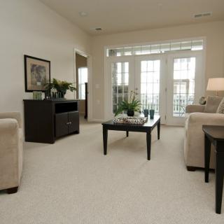 A cozy living room with neutral tones, featuring a sofa, coffee table, and large windows allowing natural light.