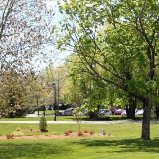 A scenic view of a park with lush green trees and grass on a sunny day.