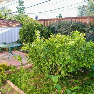 A lush backyard garden with a small table and abundant greenery.
