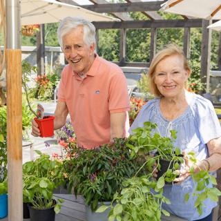 An elderly couple enjoying gardening together in an outdoor setting, surrounded by plants.