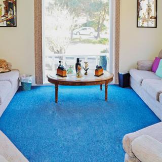 A cozy living room with two sofas facing each other, centered around a coffee table on a bright blue carpet, and a large window offering natural light.