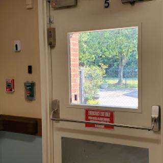 A view through a door with a window, showcasing the outdoor greenery.