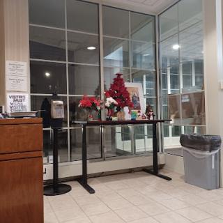 A view of a lobby area featuring decorative plants and a reception counter.