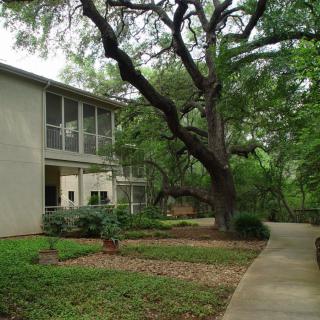 A serene view of a building surrounded by lush greenery and a winding pathway.