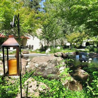 A serene garden retreat featuring a pond and lush greenery.
