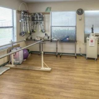 A physical therapy room equipped with parallel bars and various rehabilitation tools.