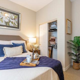 A cozy bedroom with blue accents, featuring a neatly made bed, a lamp on the nightstand, and a green plant for decoration.