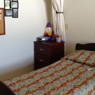A cozy bedroom with a neatly made bed, nightstand, and decorative elements.