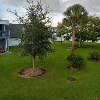 A serene view of a landscaped yard featuring trees and manicured grass.