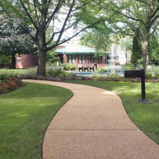 A peaceful garden pathway surrounded by lush greenery and trees.
