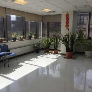 A well-lit waiting area with plants, featuring clean floors and comfortable seating.