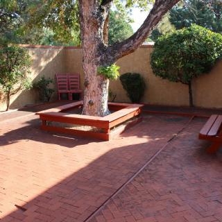 A sunny courtyard with a large tree, surrounded by benches on brick flooring.