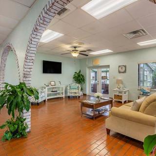 A cozy living room with comfortable seating and a TV, featuring potted plants and a ceiling fan.
