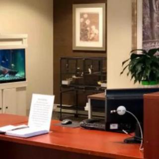 A modern reception area featuring a wooden desk with a laptop, a television on the wall, and decorative elements.