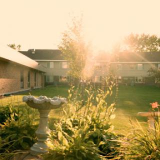 A serene garden bathed in warm sunlight during the early morning.