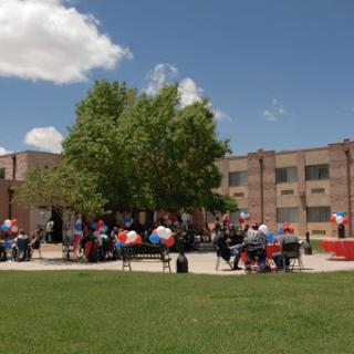 A lively outdoor gathering taking place under a large tree, with attendees seated in front of a building on a sunny day.