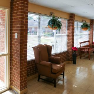 A cozy seating area featuring a brown armchair and natural light pouring in through the large windows, adorned with hanging plants.