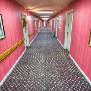 A long hallway with pink walls, patterned carpet, and multiple doors on each side.