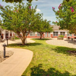 A sunny outdoor garden area with a winding pathway and benches surrounded by trees.
