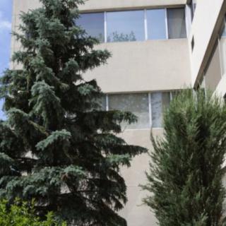 A view of a building exterior with large trees in the foreground.