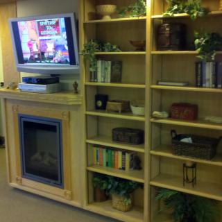 A cozy living room corner featuring a TV above a fireplace, surrounded by bookshelves filled with books, plants, and decorative items.