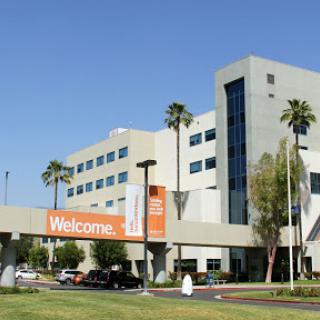 A welcoming view of a modern hospital building surrounded by palm trees under a clear blue sky.
