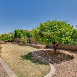A sunny backyard garden with a tree and neatly landscaped yard.