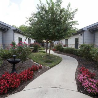 A beautifully landscaped garden with a winding concrete pathway, bordered by vibrant flowers and a central tree.
