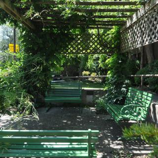 A tranquil garden setting with green benches under a leafy pergola, providing a shaded spot for relaxation.