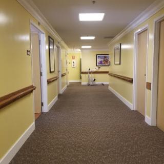 A well-lit hallway with yellow walls and carpet, featuring multiple doors and decorative art.