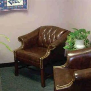 A cozy waiting area with brown leather chairs and a potted plant.